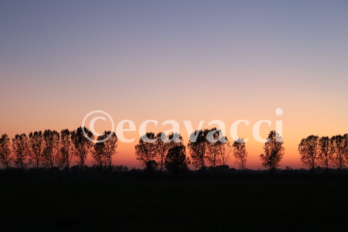 andare altrove e ogni luogo è adatto per fare una foto