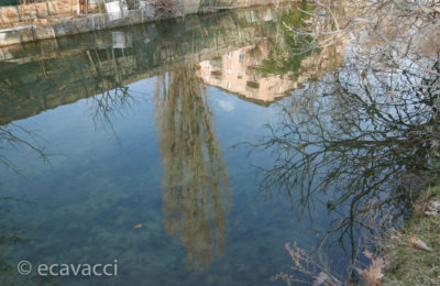 alberi e case riflesse nel naviglio martesana