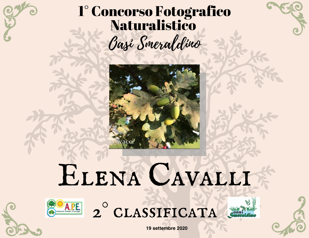Diploma 1° Concorso Fotografico Naturalistico Oasi Smeraldino Milano